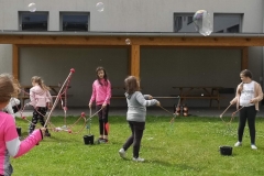IMG-8300