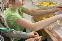 IMG-0417